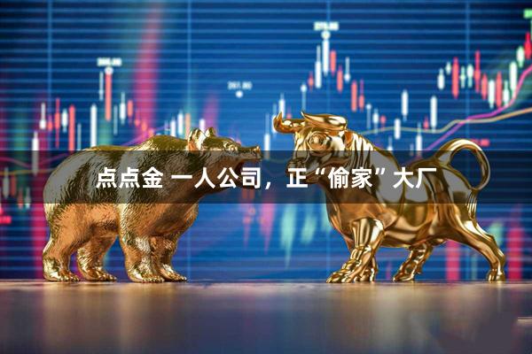 点点金 一人公司，正“偷家”大厂