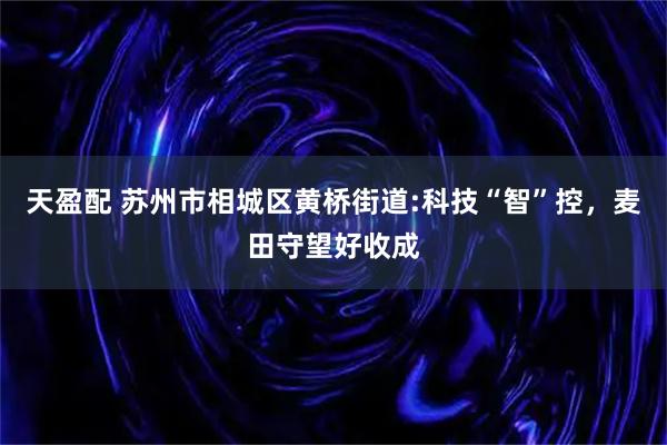 天盈配 苏州市相城区黄桥街道:科技“智”控，麦田守望好收成