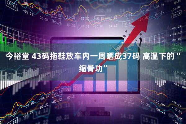 今裕堂 43码拖鞋放车内一周晒成37码 高温下的“缩骨功”