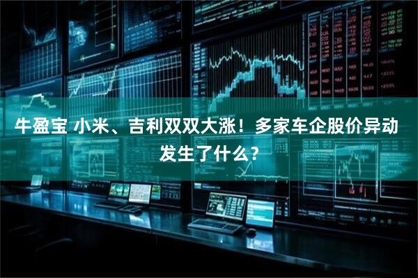 牛盈宝 小米、吉利双双大涨！多家车企股价异动 发生了什么？